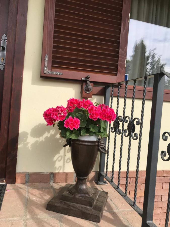 Vila Old Cars Cristian  Exterior photo