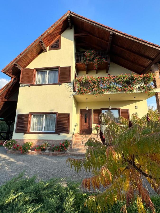 Vila Old Cars Cristian  Exterior photo