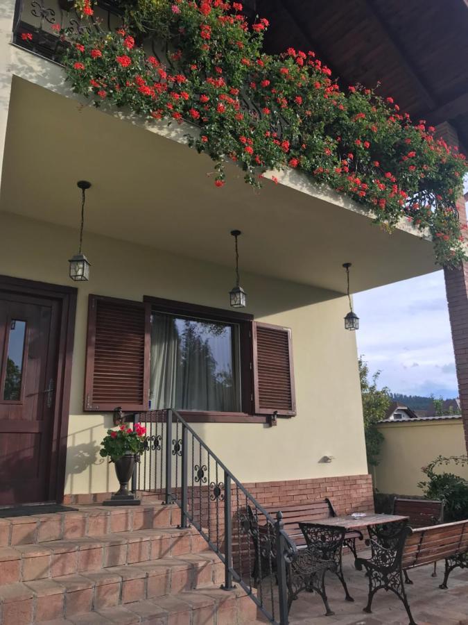 Vila Old Cars Cristian  Exterior photo